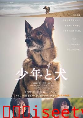 少年与犬